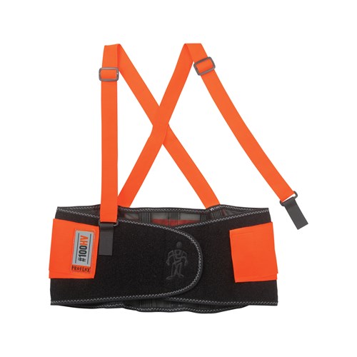 ProFlex 100 Econo Hi-Vis Back Support,MD