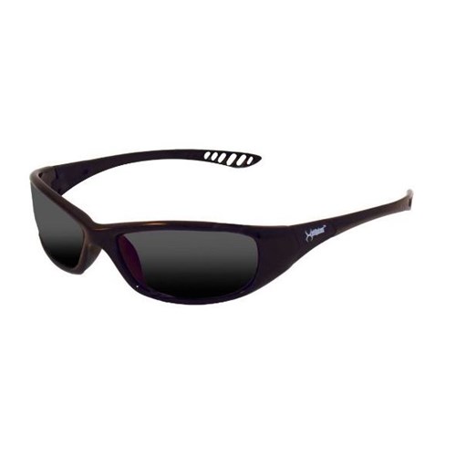 V40 Hellraiser, Smoke Lens, Blk Frame