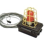 Remote Audible Alarm Box w/Strobe Light