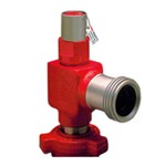 Pressure Relief Valve (125 PSI)