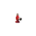 Pressure Relief Valve (125 PSI)