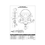 Head Harness Assembly