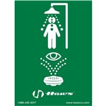 Universal Emergency Shower & Eyewash