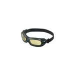 Wildcat Goggle, Black Frame, Clear Lens